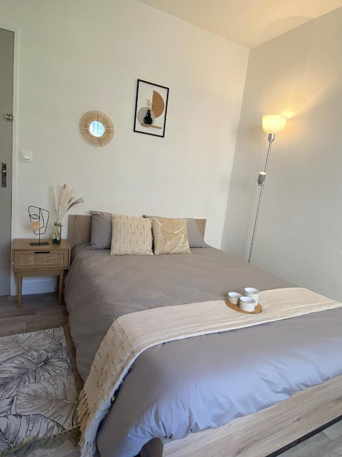 Confort & Elegance En Ville Avec Parking Gratuit Λε Μανς Εξωτερικό φωτογραφία